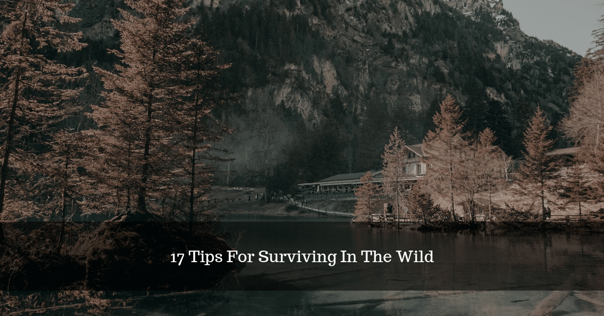 17 Tips For Surviving In The Wild