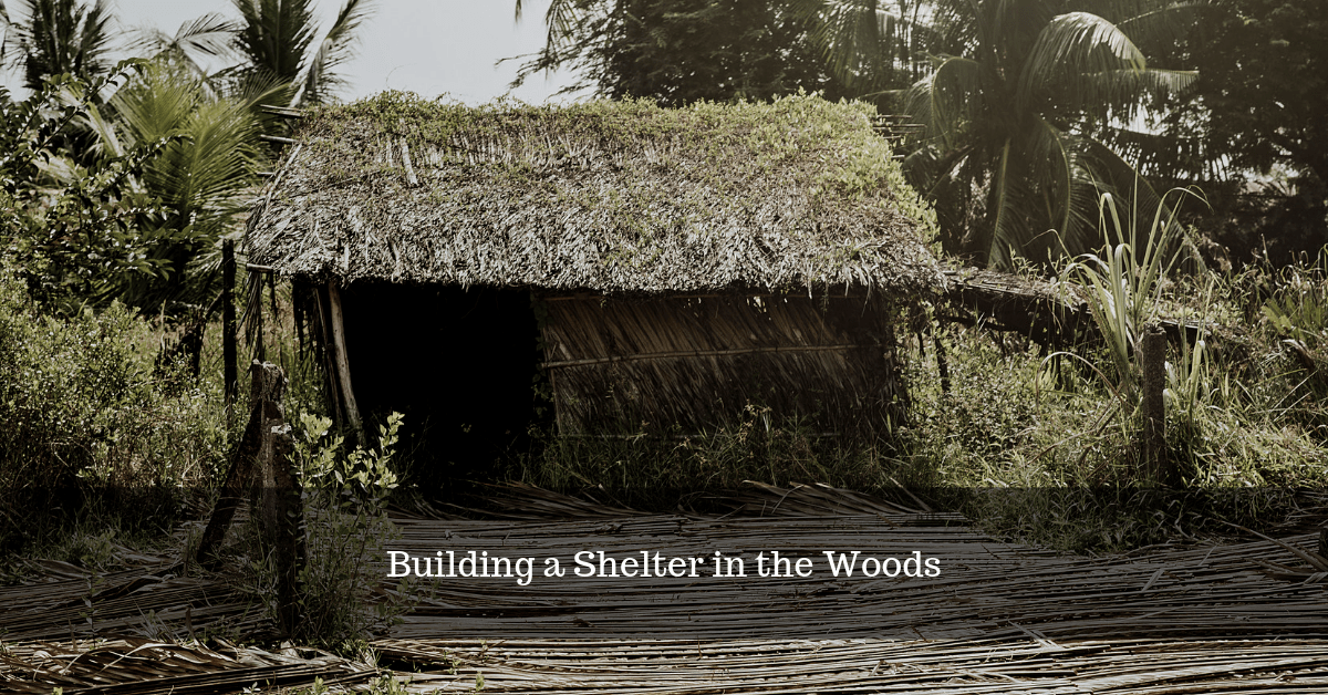 Beginner’s Guide to Building a Shelter in the Woods