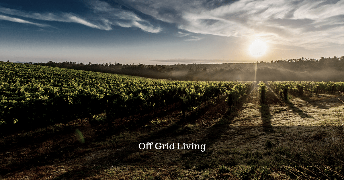Off Grid Living: A Beginner’s Guide
