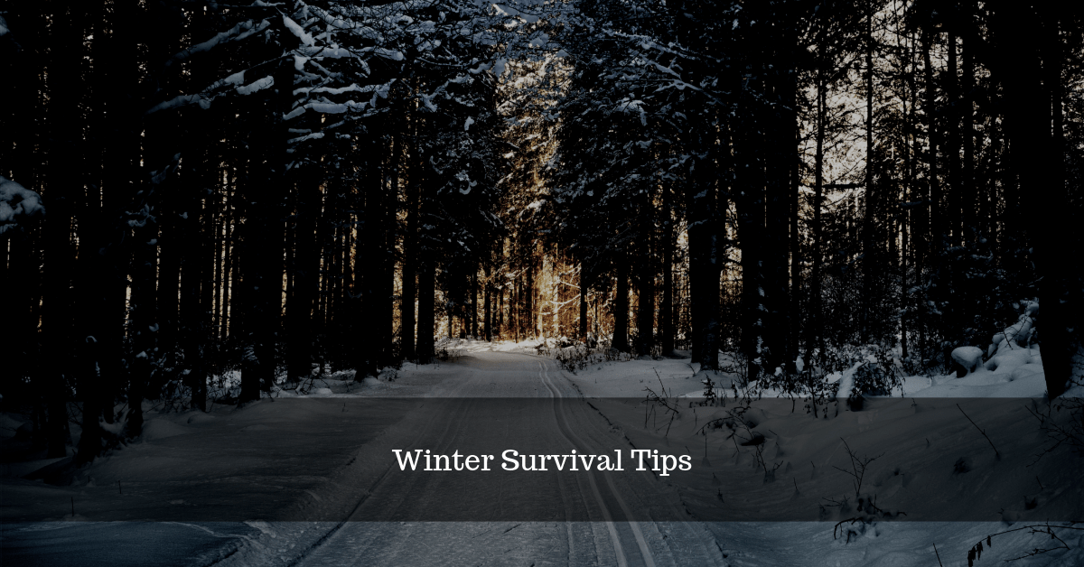 Winter Survival Tips They Don’t Want You to Know About