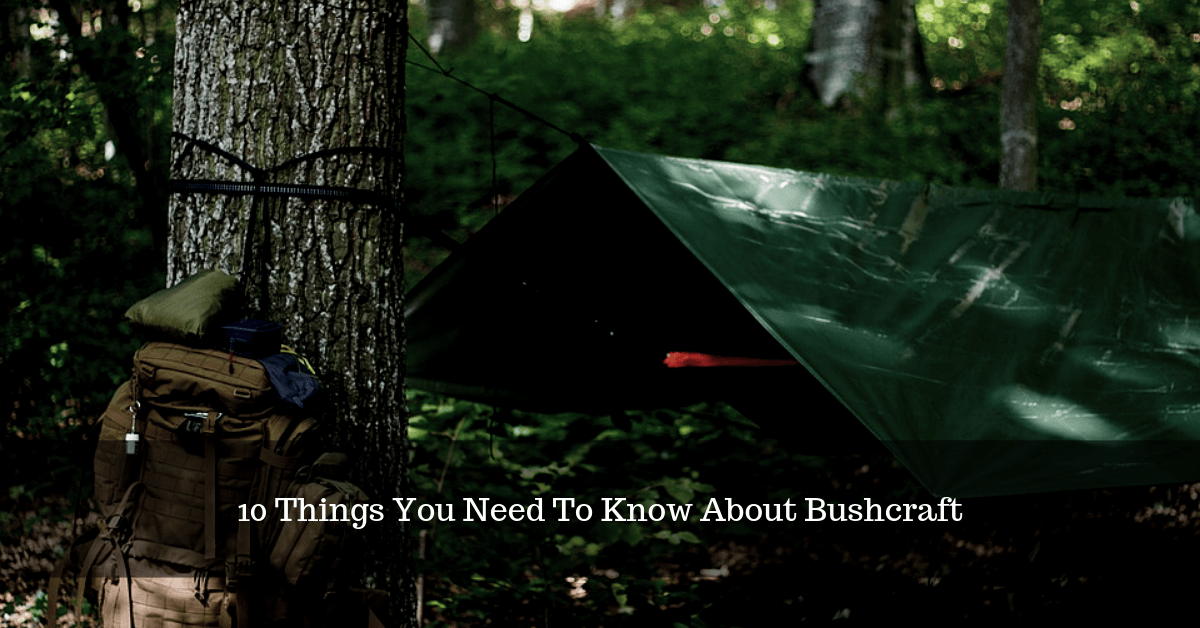 10 Things You Need To Know About Bushcraft