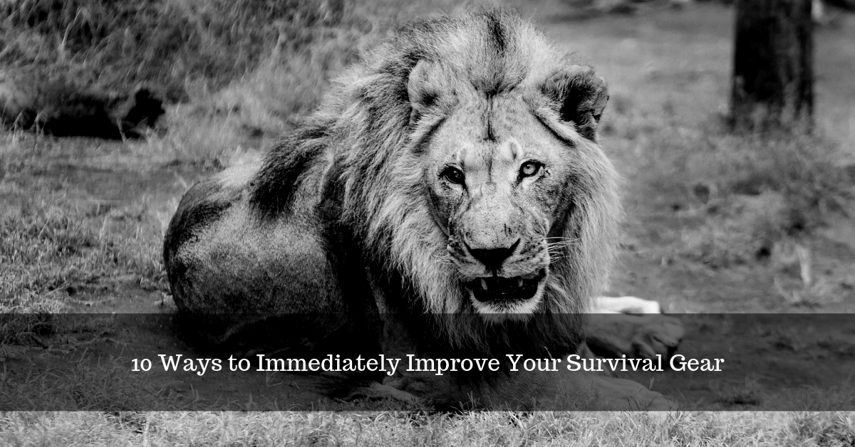10 Ways to Immediately Improve Your Survival Gear