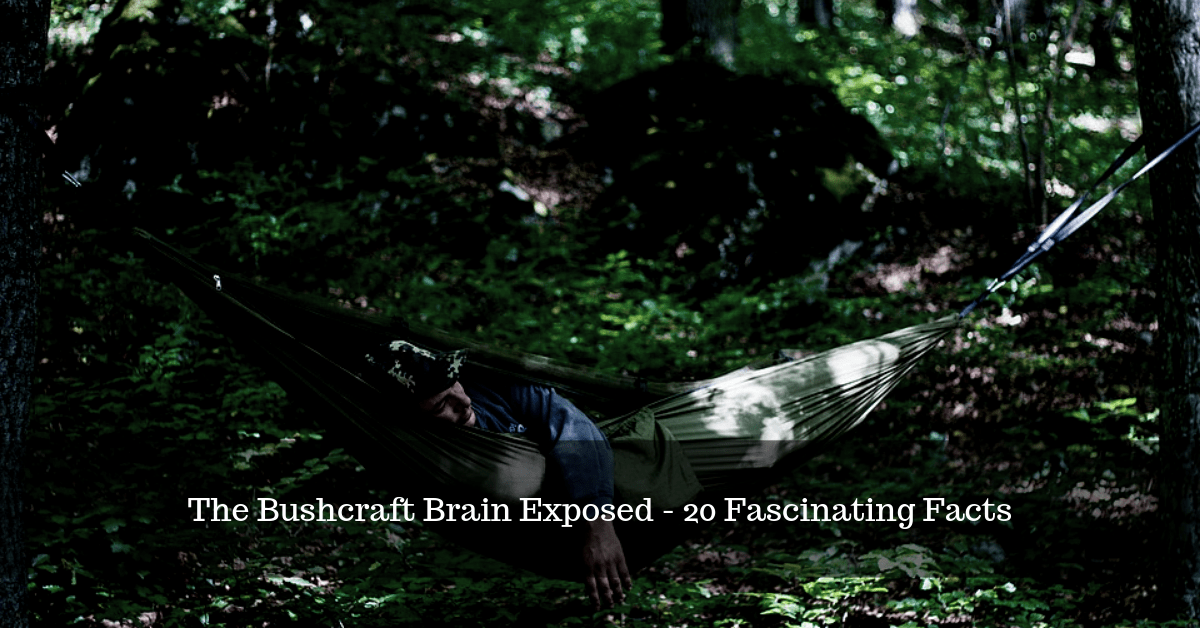 The Bushcraft Brain Exposed – 20 Fascinating Facts