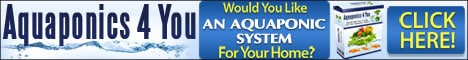 home aquaponics system