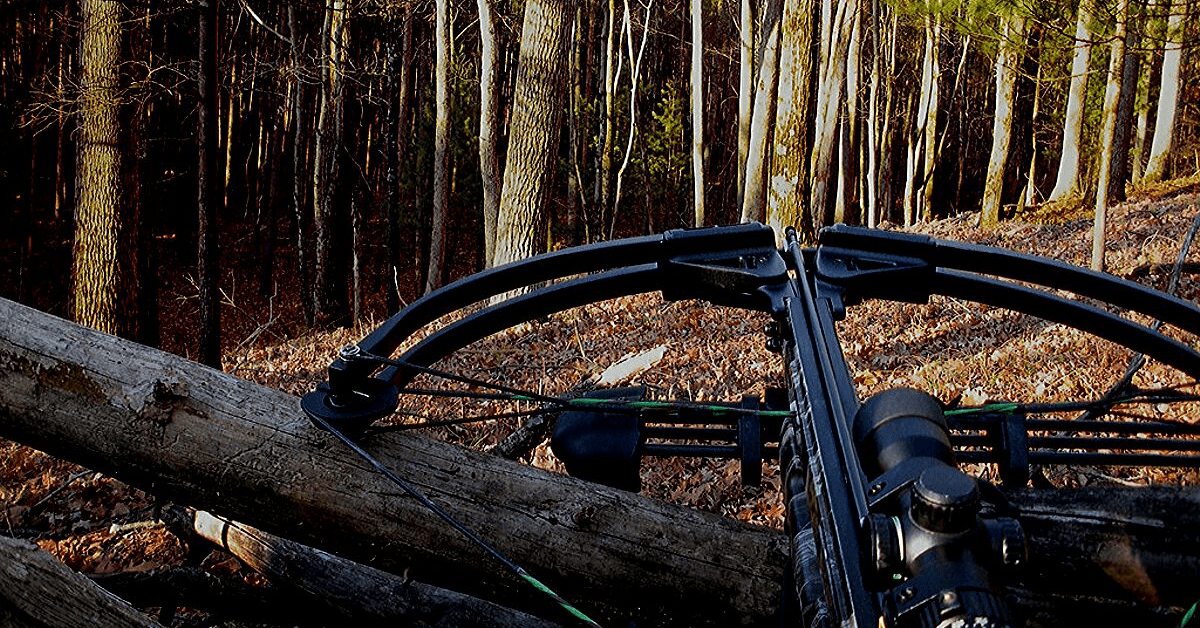 Can A Felon Own A Crossbow?