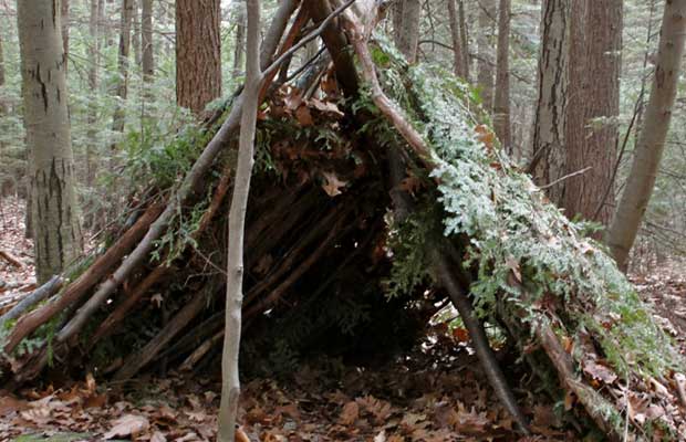 how-to-make-a-shelter-in-the-woods-tips-for-survivalists