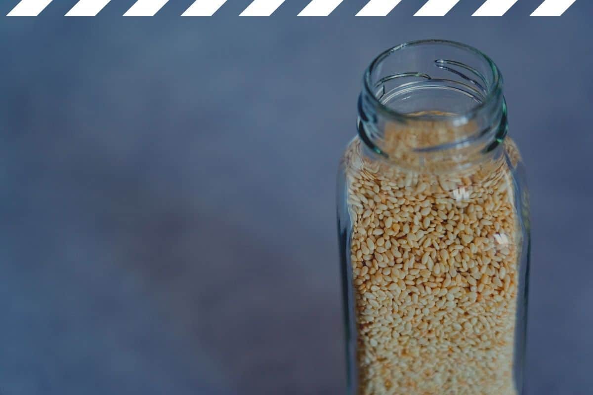 How to Store Seeds for Prepping: The Complete Guide