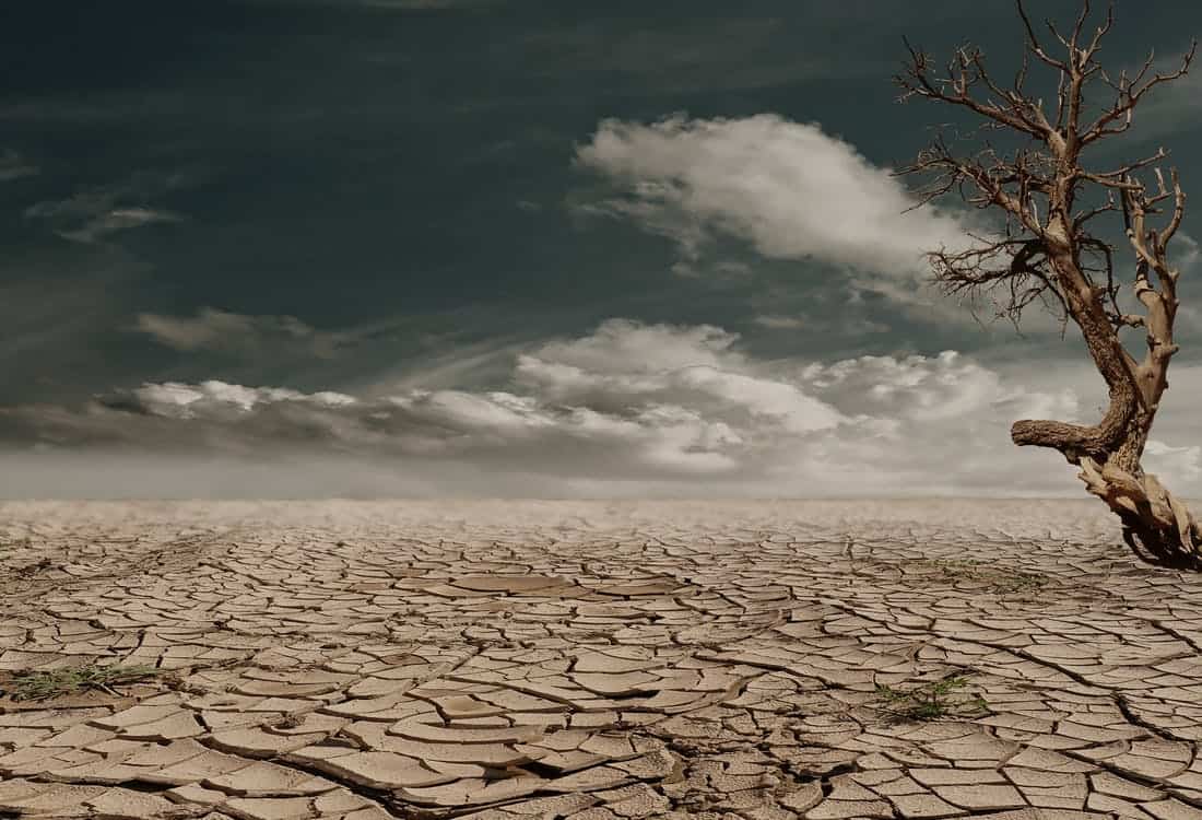 Survival Tips for Dealing with a Drought