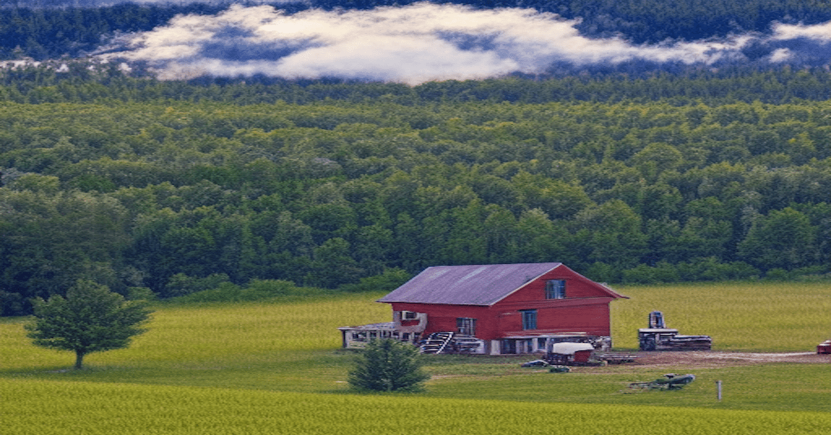 15 Reasons Why Homesteading is the Best Way to Live