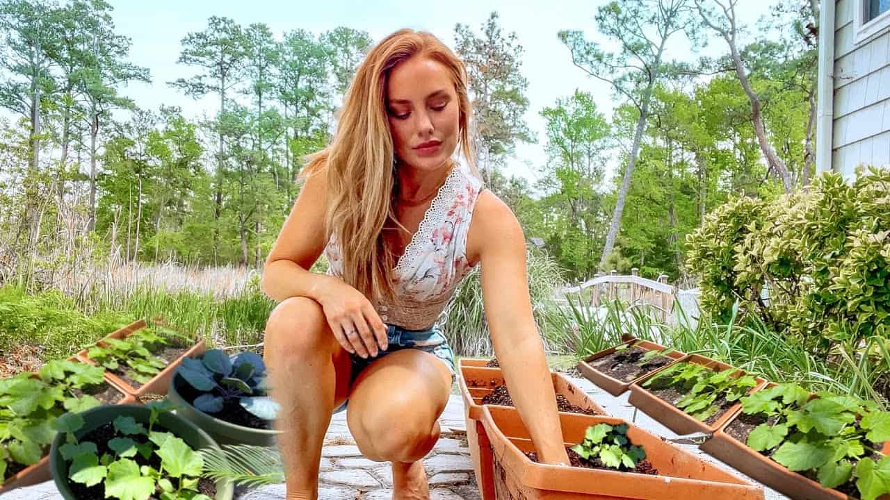 How I Started My CONTAINER GARDEN: Easy to Grow Vegetables, Space Saving, Renter Friendly Planting