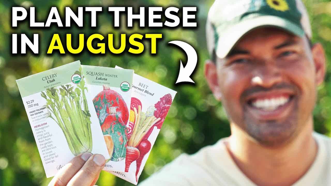 13 Veggies You Can Start in August RIGHT NOW!