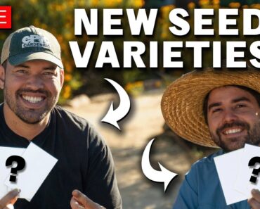 Revealing 35 NEW Seed Varieties For 2025 LIVE!