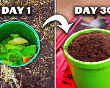 7 Easy Ways to Compost Kitchen Scraps in Your Garden! 🌱