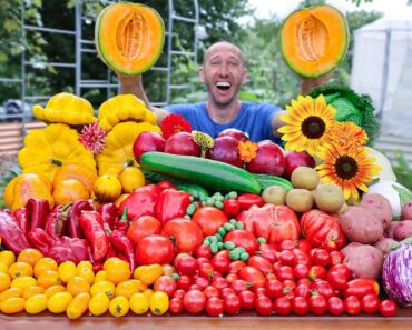 Incredible Organic Gardening Harvest, This is What I Harvested Today!