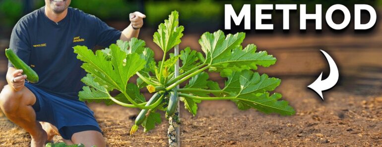 Grow Zucchini Vertically to Save Space And Boost Harvests