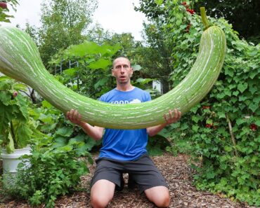 This Squash Defies the Laws of Nature! 😮