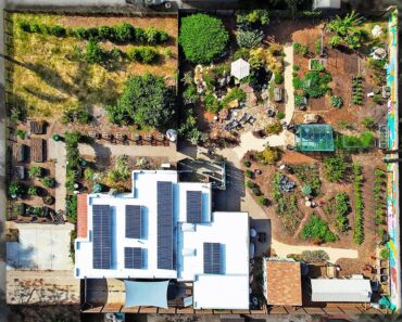 1/3 Acre Urban Homestead Tour After 4 Years 🏡