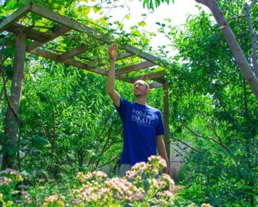 I Broke the Rules and Planted 35 Different Edible Perennials in a Small Garden, Here’s What Happened