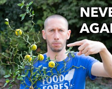 DON’T WASTE YOUR TIME, 7 Crops I Would NEVER Plant Again in My Garden