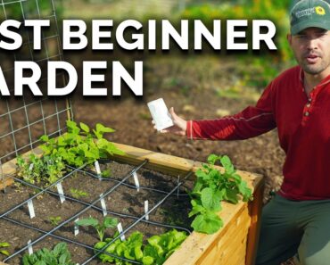 Square Foot Gardening: Easiest Way to Grow MORE Food in LESS Space