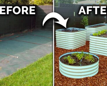 How to Start Your First Garden (COMPLETE GUIDE)