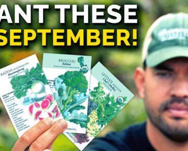 11 Crops To Grow In September, No Matter Where You Live