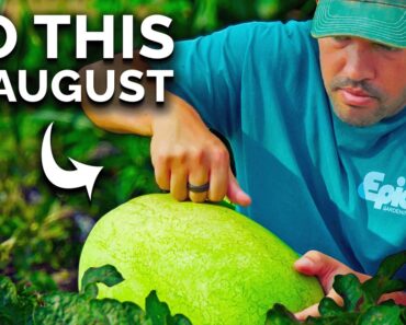 Your Garden Checklist: What To Do NOW In August