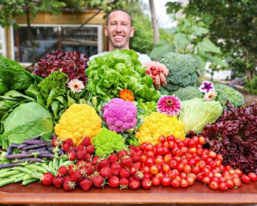 Organic Garden Harvest, Here is What I Harvested Today…