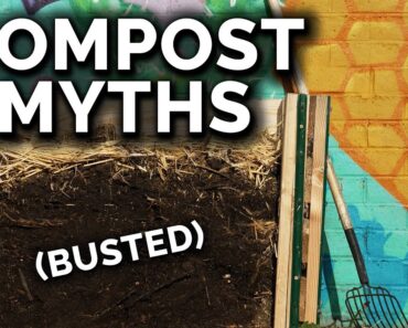 5 Composting Myths You Should Stop Believing Right Now
