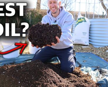 Homemade POTTING MIX, CHEAP and EASY DIY Gardening
