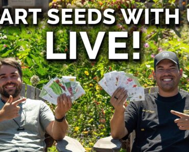 Start Seeds With Us For Fall LIVE With @epicgardening