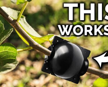 7 Incredible Gardening Hacks That ACTUALLY Work