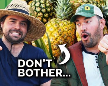 Surprising Plants Our Subscribers HATE Growing!