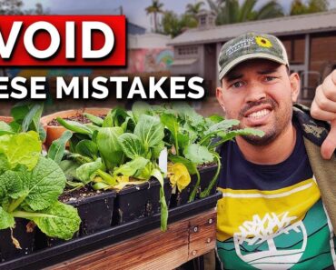 9 Garden Mistakes We Won’t Repeat Next Year