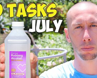 10 Garden Tasks You’d Be Foolish Not To Do in July