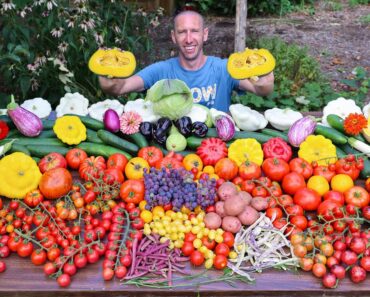 Amazing Garden Harvest on Only 1/9th an Acre, Backyard Sustainable Gardening