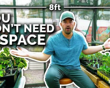 5 Ways to Grow More in Less Space