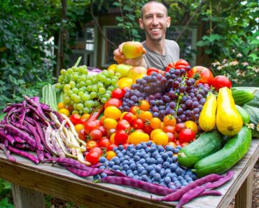 Unbelievable Organic Garden Harvest, This is What I Harvested Today!