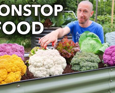 How to Grow a Garden That NEVER Stops Producing