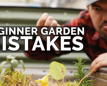 9 Beginner Gardening Mistakes to Avoid 😱 ❌