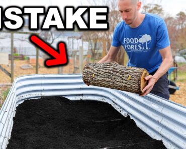 How to FILL Raised Garden Beds CHEAP and EASY