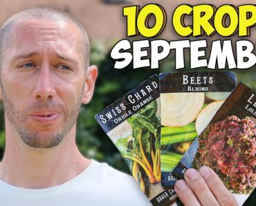 10 Valuable Crops You Should ALWAYS Be Planting in September