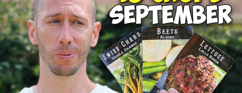 10 Valuable Crops You Should ALWAYS Be Planting in September