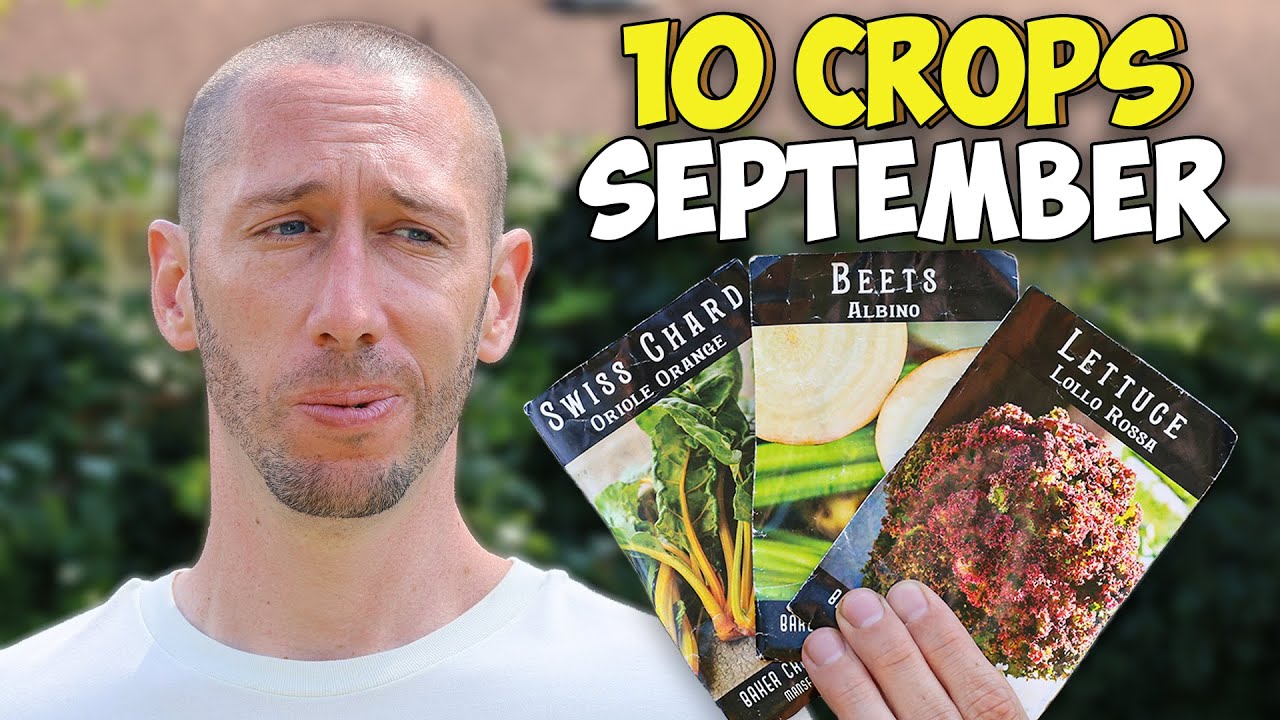 10 Valuable Crops You Should ALWAYS Be Planting in September ...