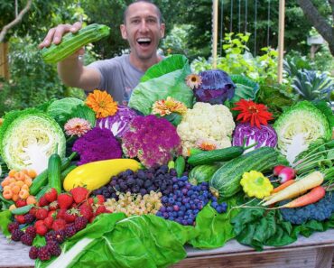 Astonishing Backyard Garden Harvest, Suburban Permaculture Food Forest Astonishing Backyard Garden Harvest, Suburban Permaculture Food Forest