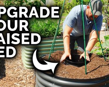 4 Dead-Simple DIY Project to Upgrade Your Raised Beds
