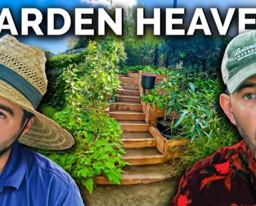 Professional Gardeners React To Subscriber Gardens Around The World!