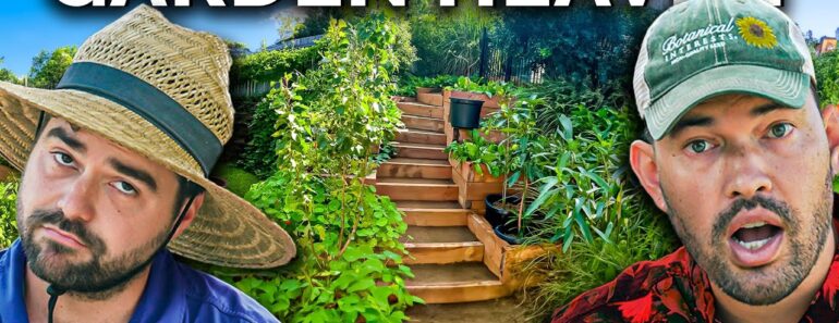 Professional Gardeners React To Subscriber Gardens Around The World!