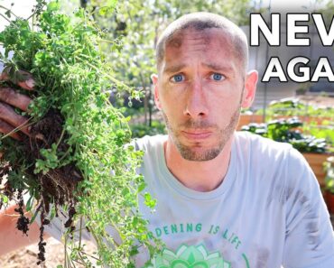 NEVER Weed Your Garden AGAIN… If You Do This One Thing