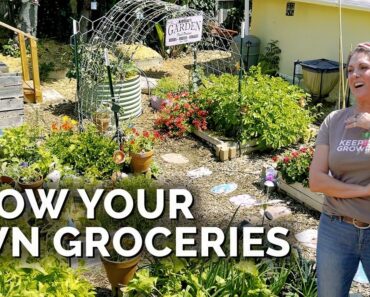 She Grows 80% Of Her Produce For a Family of 5 🏡 | Suburban Garden Tour